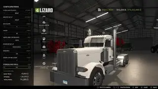 379 Peterbilt build