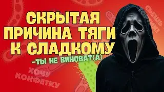 Почему не работает сила воли? Виновник падения иммунитета и старения! Действия, которые всё изменят.