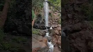 Ghughra Waterfall Mandla 📍watch full video in my channel #shorts #youtubeshorts