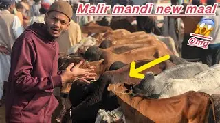 Live Malir Mandi Karachi | Market Update 2026 &hearts;️&hearts;️&hearts;️