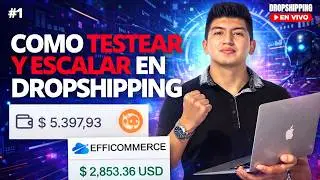 Testeo y Escala Drosphipping 2025 - Dropshipping En Vivo #1