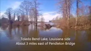 Toledo Bend, Louisiana side, east of Pendleton Bridge