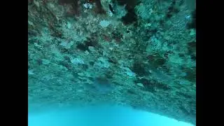 Underwater Services Mozambique 598