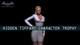 MISC; Batman; Arkham Origins; Hidden Tiffany Character Trophy