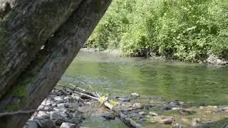 Mettawee River Valley, Rupert, VT