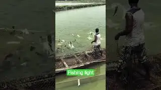 fishing#youtubeshorts #viralvideo #ytshorts #hemanta #lifeisbutadream #apurba vlogs#🔥🔥🔥