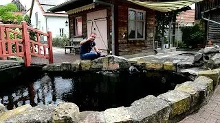 Modern Koi Blog #1770 - Wasseranalyse mit Zufallsbefund