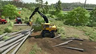 VOLVO EC250DL with processor head Koller P60 logging work in Farming simulator 22 #SHORTS