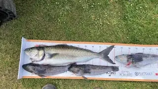 Moeraki Kayak Fishing 