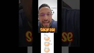 Digest&atilde;o da Sacarose - Sistema Digestivo - Biologia com o Tubar&atilde;o em Segundos!