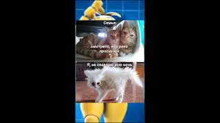#мем #смешно #гиперсмешно #оченьсмешноевидео #история #смех #мемчи