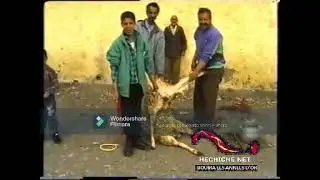 Bouira-mouriti -cite volitif les annnees 1999