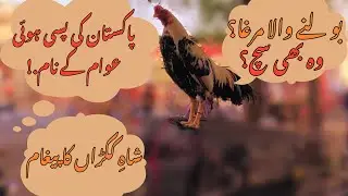Message from King Cock to Deprived People of the Third World | Visitirio
