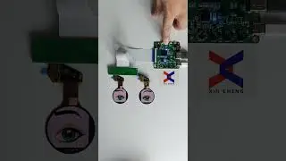 HDMI to MIPI 1.4 inch Dual 400(800)x400 Round Circular AMOLED Animal Robotic Two Eyes Displays China