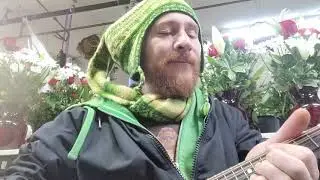 Freedom of 76 - Ween Cover