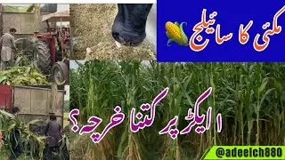 Silage || 1acre par kitna kharch? || how much does it cost to make 1acre silage|~ سائیلج|~ 21,8,2024