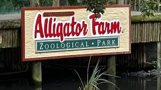St Augustine FL Alligator Farm Thanksgiving 2024