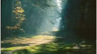 Svarga - I Can Not Fly (Не Могу Лететь)