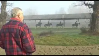 CANTER 15/12/2016 - 