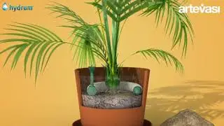 Hydrum Self Watering System
