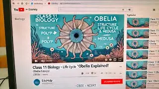 | Obelia Simplified! | Class 11 Biology | Structure & Life Cycle Explained | | Suggested video |