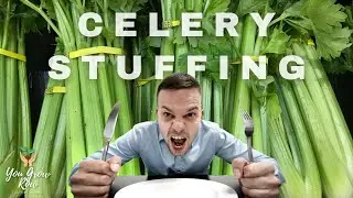 NEW RECIPE Celery Stuffing | Fermented Vegetables Recipe Book