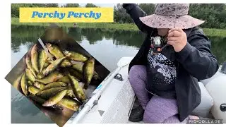 Perchy Perchy// Got Our Limit Again(722023)