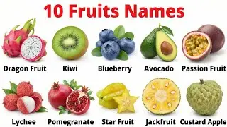 20 Exotic Fruits Name बच्चों के लिए | Learn Fruit Names in English and Hindi | Educational Video