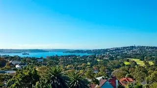 Bellevue Hill Suburb Profile