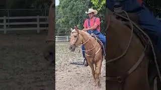 Spirit 2 yr QH - Colt starting