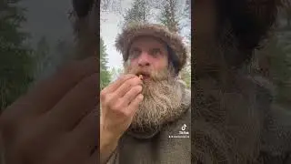 Rainy Day in Latvia &mdash; Still a Good Time for Chanterelle Hunting