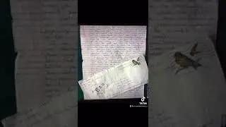 NK&rsquo;s &ldquo;Scratches&rdquo; Might be more important than we think‼️‼️👀 #chriswatts #nicolekessinger #wattscase