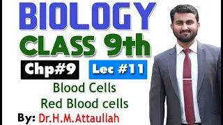 Blood Cells | Red blood cells | erythrocytes | Chapter 9 | 9th class Biology | Lec. 11