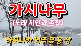#가시나무 (시인과 촌장) C키 #하모니카 연주 유 홍 상 #황악하모니카예술단 소속 