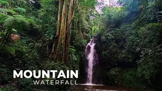 MOUNTAIN WATERFALL SOUNDS 1 HOUR - The Most Peaceful Place On Earth