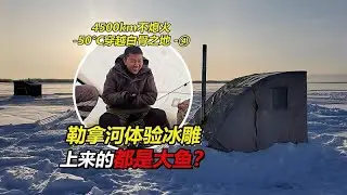 在世界上最寒冷的城市冰钓 连续上“大鱼”体验感拉满