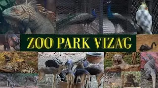 Indira Gandhi Zoo Park #vizag    #thejourneycontinues#