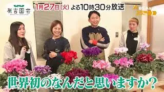 冬の女王 シクラメンの魅力に迫る【夢が咲く 有吉園芸～Road to start a garden shop～】