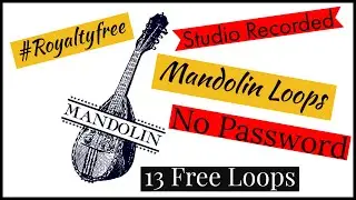 Free Mandolin Loops - Studio Quality #Punjabiloops #freeloops Punjabi Sample Packs | Young Blood |