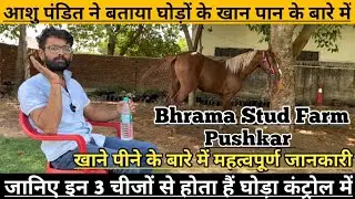 आशु पंडित जी से जानिए घोड़ों के खाने पीने के बारे में महत्वपूर्ण जानकारी !