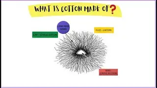 What is Cotton made of ?  | Lint | linters | Organic Cotton | Green Cotton