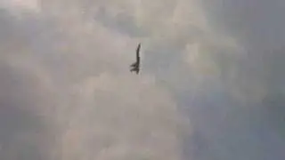 Sukhoi Su-27 executing Cobra maneuver