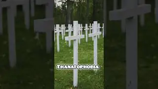 Thanatophobia - Fear of dy.....#ytshorts #youtubeshorts #englishwithsderudition