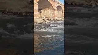 Po river bridge fiume #ponti #fiumi #fiumepo #