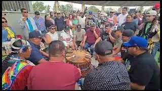 Northern Cree 🔥 Men's Chicken @Kainai Powwow 2025 - Sunday