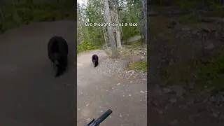 Bear encounter at whistler bike park 😱 (@soash_obi)  #mtb #mountainbike #hiking #bikepark #bear