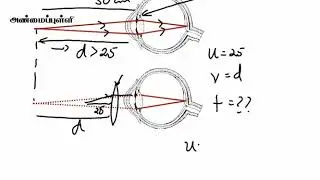 3.24.அலைவுகளும் அதிர்வுகளும் - கண் | Physics | A/L| Tamil Medium | LMDM Unit