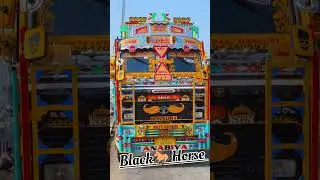 #black#horse#video#viraltrendingvideo#trendingshorts#status#trucklife#black#beauty#