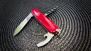 Victorinox Waiter