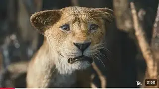 The Loud House Movie - The Rain Storm/Mufasa Cub is DROWNING!